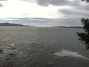 ./images/koeye/fitz-hugh/20201101/fitz-hugh20201101_142501.jpg