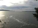./images/koeye/fitz-hugh/20201101/fitz-hugh20201101_143502.jpg