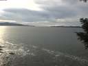 ./images/koeye/fitz-hugh/20201101/fitz-hugh20201101_144002.jpg