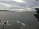 ./images/koeye/fitz-hugh/20201101/fitz-hugh20201101_144502.jpg