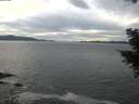 ./images/koeye/fitz-hugh/20201101/fitz-hugh20201101_145501.jpg