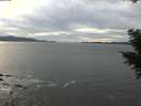 ./images/koeye/fitz-hugh/20201101/fitz-hugh20201101_150002.jpg