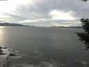 ./images/koeye/fitz-hugh/20201101/fitz-hugh20201101_150502.jpg