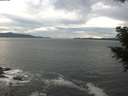 ./images/koeye/fitz-hugh/20201101/fitz-hugh20201101_151002.jpg