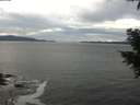 ./images/koeye/fitz-hugh/20201101/fitz-hugh20201101_151502.jpg