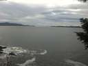 ./images/koeye/fitz-hugh/20201101/fitz-hugh20201101_152502.jpg