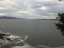 ./images/koeye/fitz-hugh/20201101/fitz-hugh20201101_153002.jpg