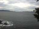 ./images/koeye/fitz-hugh/20201101/fitz-hugh20201101_154002.jpg