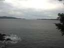 ./images/koeye/fitz-hugh/20201101/fitz-hugh20201101_154502.jpg