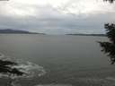 ./images/koeye/fitz-hugh/20201101/fitz-hugh20201101_155501.jpg