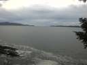 ./images/koeye/fitz-hugh/20201101/fitz-hugh20201101_160001.jpg