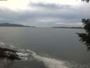 ./images/koeye/fitz-hugh/20201101/fitz-hugh20201101_160501.jpg