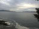 ./images/koeye/fitz-hugh/20201101/fitz-hugh20201101_161501.jpg