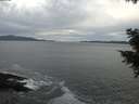 ./images/koeye/fitz-hugh/20201101/fitz-hugh20201101_162001.jpg