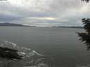 ./images/koeye/fitz-hugh/20201101/fitz-hugh20201101_162501.jpg