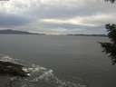 ./images/koeye/fitz-hugh/20201101/fitz-hugh20201101_163001.jpg