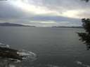 ./images/koeye/fitz-hugh/20201101/fitz-hugh20201101_163501.jpg