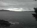 ./images/koeye/fitz-hugh/20201101/fitz-hugh20201101_174002.jpg
