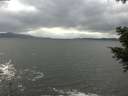 ./images/koeye/fitz-hugh/20201103/fitz-hugh20201103_143501.jpg
