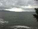 ./images/koeye/fitz-hugh/20201103/fitz-hugh20201103_144001.jpg