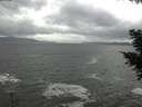 ./images/koeye/fitz-hugh/20201103/fitz-hugh20201103_144501.jpg