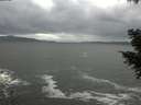 ./images/koeye/fitz-hugh/20201103/fitz-hugh20201103_145001.jpg