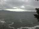 ./images/koeye/fitz-hugh/20201103/fitz-hugh20201103_145501.jpg