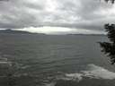 ./images/koeye/fitz-hugh/20201103/fitz-hugh20201103_150001.jpg