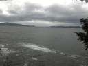 ./images/koeye/fitz-hugh/20201103/fitz-hugh20201103_150501.jpg