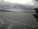 ./images/koeye/fitz-hugh/20201103/fitz-hugh20201103_151501.jpg