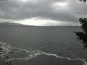 ./images/koeye/fitz-hugh/20201103/fitz-hugh20201103_152501.jpg