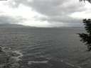 ./images/koeye/fitz-hugh/20201103/fitz-hugh20201103_153001.jpg