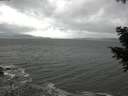 ./images/koeye/fitz-hugh/20201103/fitz-hugh20201103_154001.jpg