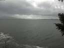 ./images/koeye/fitz-hugh/20201103/fitz-hugh20201103_154501.jpg
