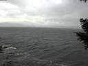./images/koeye/fitz-hugh/20201103/fitz-hugh20201103_155001.jpg