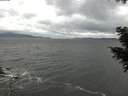 ./images/koeye/fitz-hugh/20201103/fitz-hugh20201103_155501.jpg