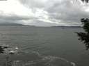 ./images/koeye/fitz-hugh/20201103/fitz-hugh20201103_160002.jpg