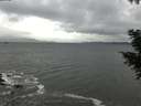 ./images/koeye/fitz-hugh/20201103/fitz-hugh20201103_160501.jpg