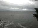 ./images/koeye/fitz-hugh/20201103/fitz-hugh20201103_161001.jpg