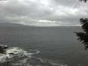 ./images/koeye/fitz-hugh/20201103/fitz-hugh20201103_161501.jpg