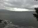 ./images/koeye/fitz-hugh/20201103/fitz-hugh20201103_162001.jpg