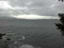 ./images/koeye/fitz-hugh/20201103/fitz-hugh20201103_162501.jpg