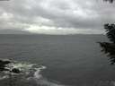 ./images/koeye/fitz-hugh/20201103/fitz-hugh20201103_163002.jpg