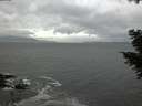 ./images/koeye/fitz-hugh/20201103/fitz-hugh20201103_163502.jpg