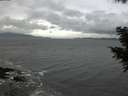 ./images/koeye/fitz-hugh/20201103/fitz-hugh20201103_164002.jpg
