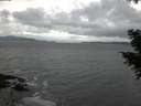 ./images/koeye/fitz-hugh/20201103/fitz-hugh20201103_164502.jpg