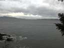 ./images/koeye/fitz-hugh/20201103/fitz-hugh20201103_165002.jpg