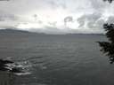 ./images/koeye/fitz-hugh/20201103/fitz-hugh20201103_165502.jpg