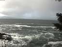 ./images/koeye/fitz-hugh/20201105/fitz-hugh20201105_105502.jpg