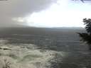 ./images/koeye/fitz-hugh/20201105/fitz-hugh20201105_110002.jpg